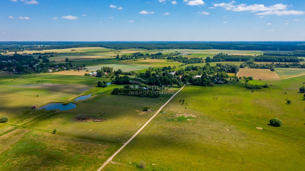 Działka rolna na sprzedaż Mieleszki-Kolonia  3 003m2 Foto 16