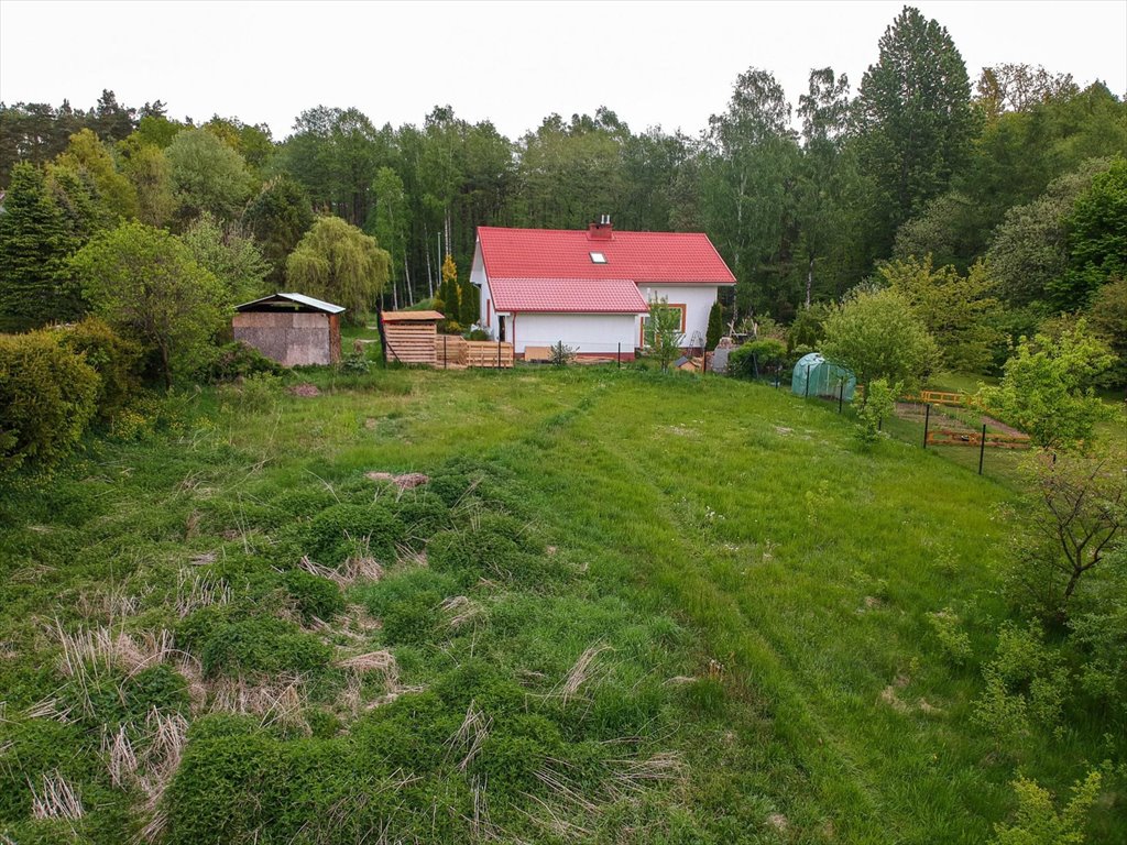 Działka budowlana na sprzedaż Orle  2 676m2 Foto 8