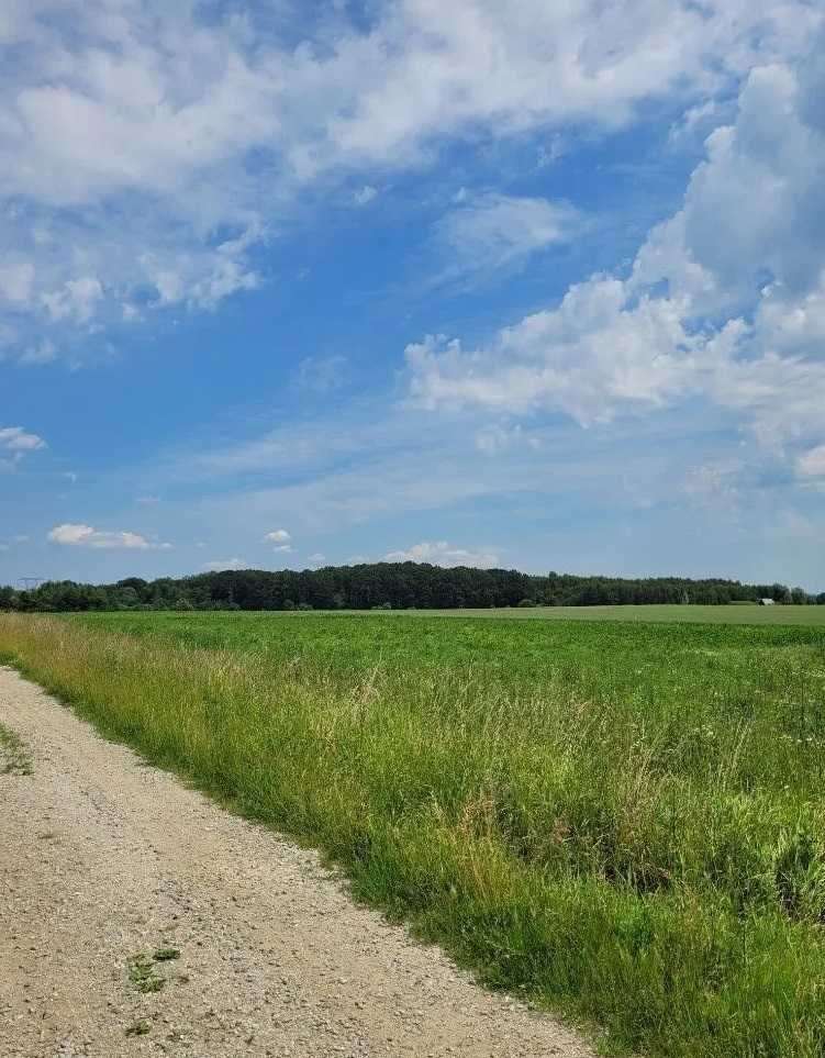 Działka inna na sprzedaż Dobroszyce, Siekierowice  2 164m2 Foto 6