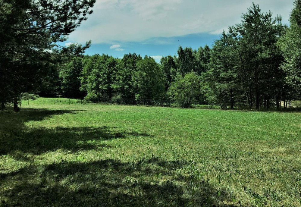 Działka siedliskowa na sprzedaż Łebno  81 414m2 Foto 3