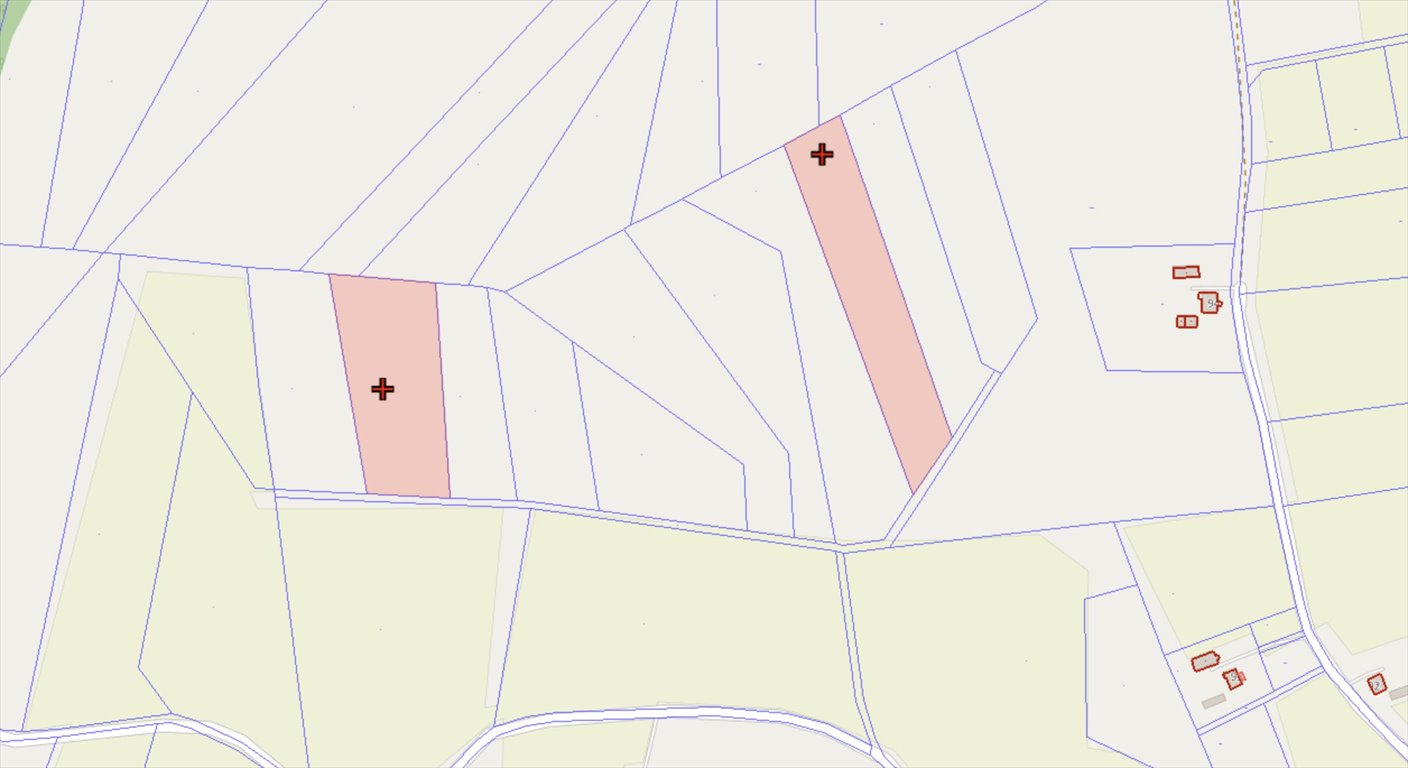 Działka rolna 2x1 ha z księgą, dojazd polną drogą Dźwierzuty, Targowo  10 100m2 Foto 1