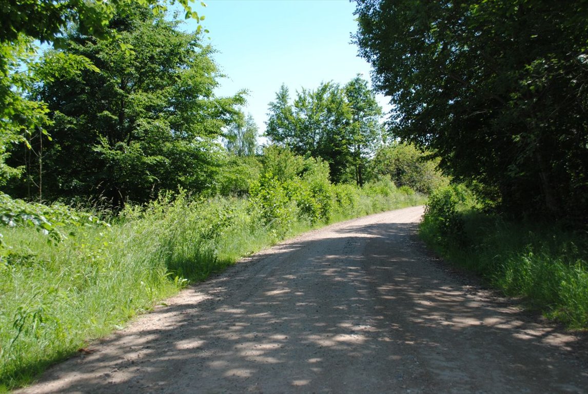 Działka budowlana na sprzedaż Kolbudy, Słonecznikowa  3 348m2 Foto 5