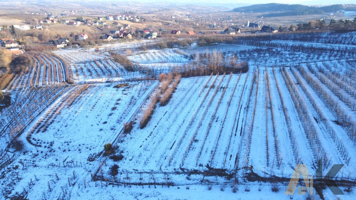 Działka rolna na sprzedaż Czarny Potok  4 500m2 Foto 1
