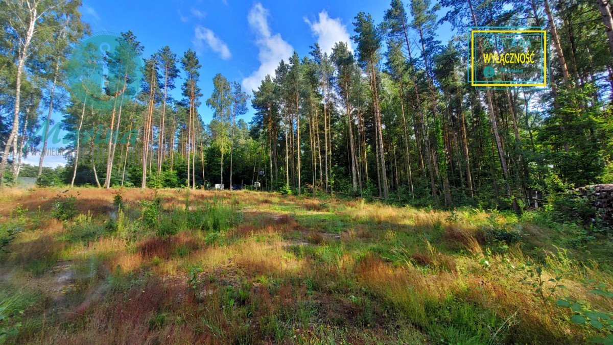 Działka budowlana na sprzedaż Kamień, Nad Brzegiem  1 501m2 Foto 7