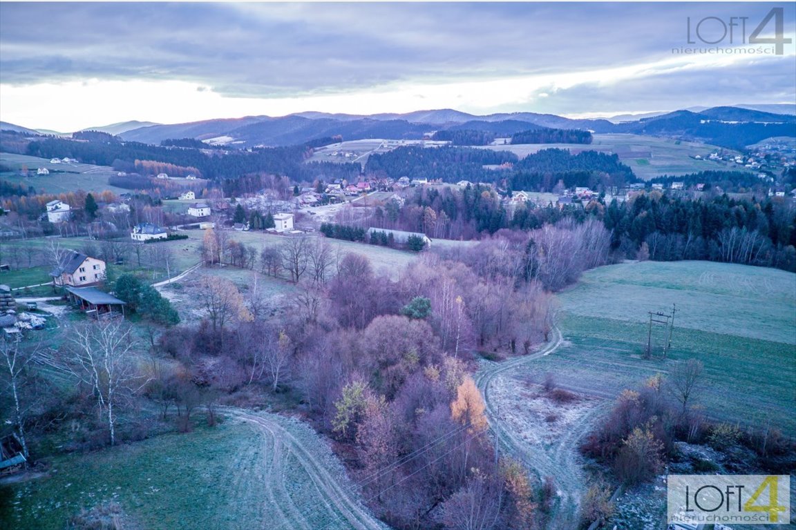 Działka inna na sprzedaż Mystków  4 000m2 Foto 7