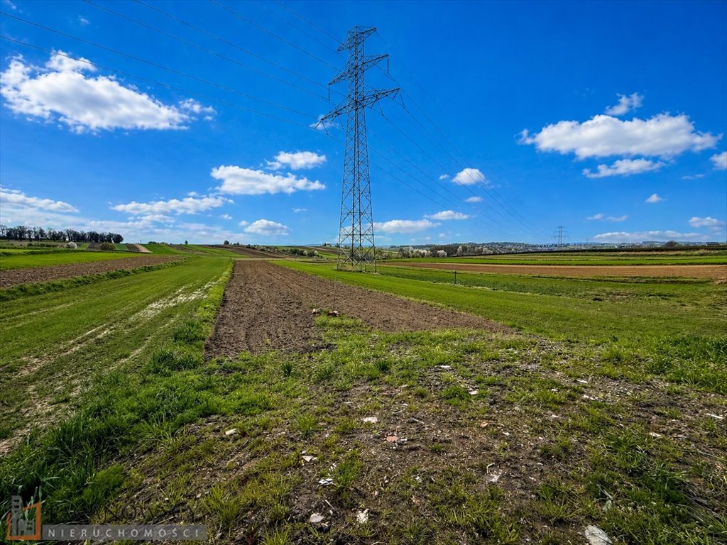 Zdjęcie 3