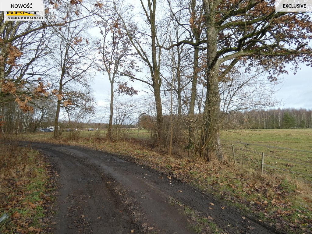 Działka budowlana na sprzedaż Krzywice  3 000m2 Foto 2