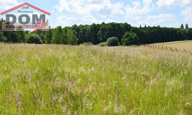 Działka inna na sprzedaż Gudowo  15 600m2 Foto 11