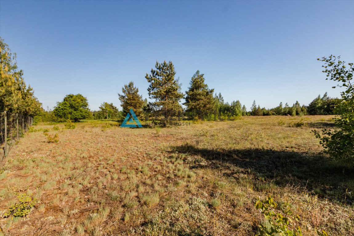 Działka rolna na sprzedaż Leśno  3 674m2 Foto 8