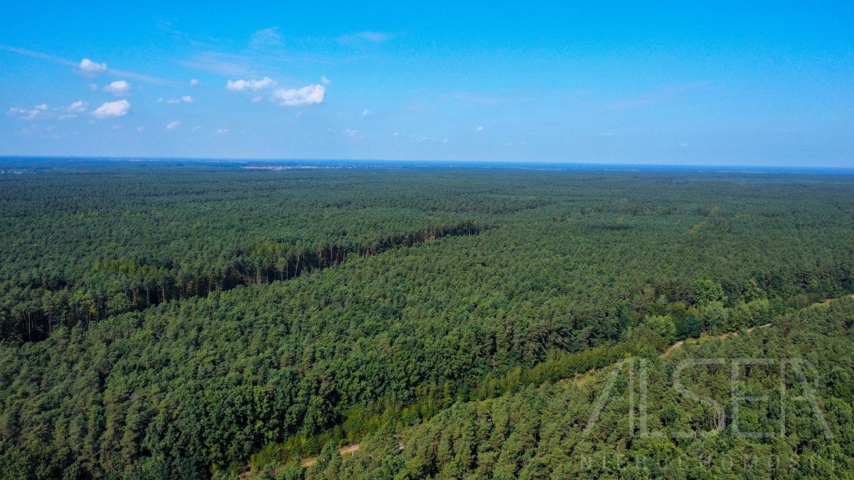 Działka budowlana na sprzedaż Leszczydół-Nowiny, Sosnowa  842m2 Foto 9