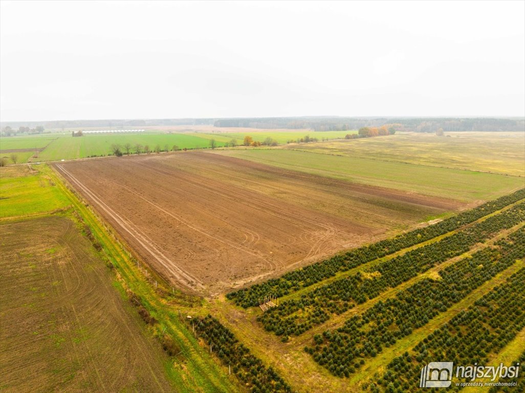 Działka budowlana na sprzedaż Węgorza, Wieś  1 498m2 Foto 7