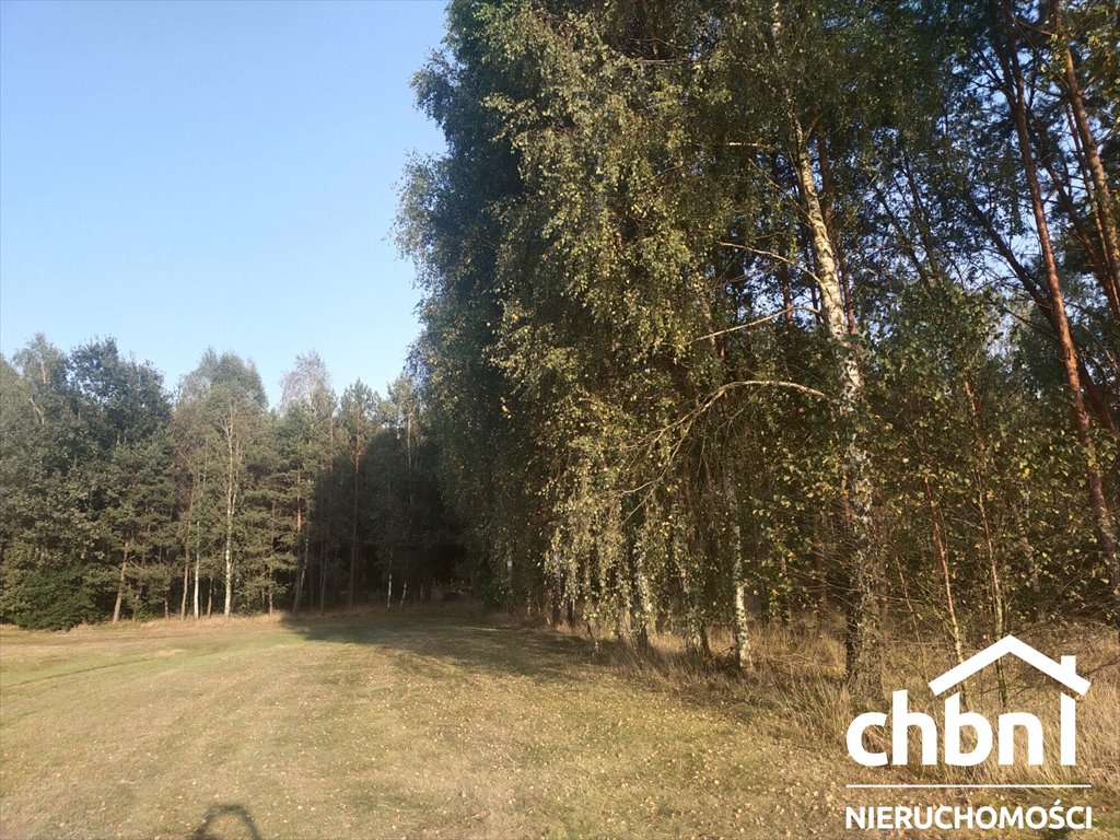 Działka 4004 m2 w Rudziny – las, polana, spokój Rudziny  4 004m2 Foto 1