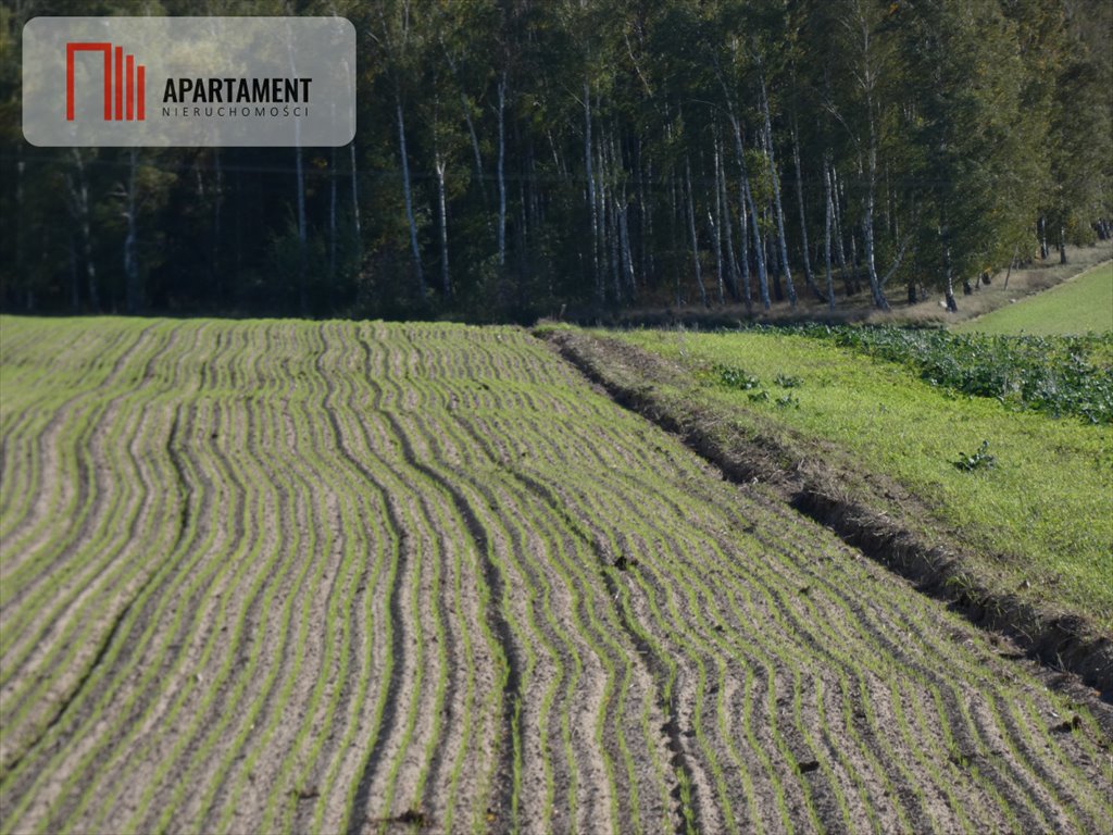 Działki budowlane z warunkami zabudowy - blisko jezior Żnin  900m2 Foto 1