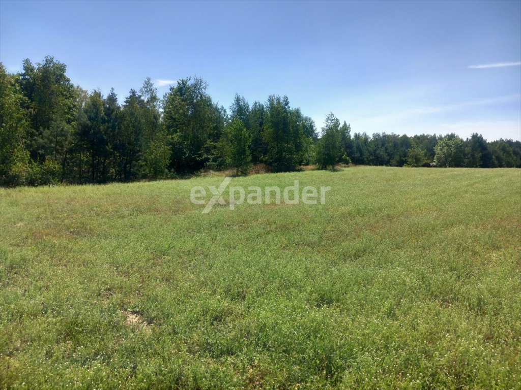 Działka rolna 2,91 ha w Likiecu blisko jeziora i lasu Likiec  29 100m2 Foto 1