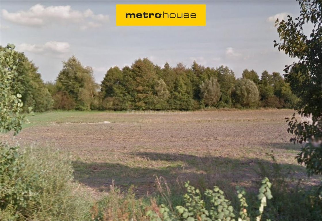 Działka pod zabudowę 1,82 ha z dostępem do jeziora Rogozińskiego Międzylesie  18 233m2 Foto 1