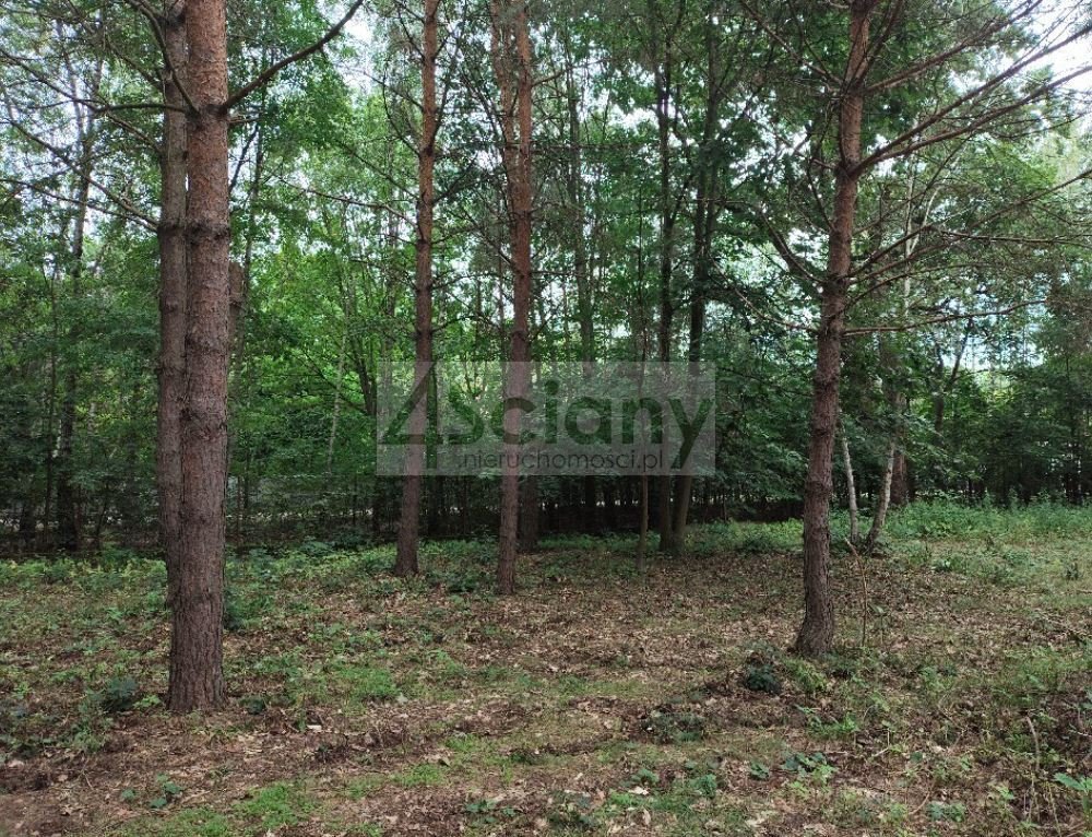 Działka 1981 m² w Komorowie, media w drodze - polecam! Komorów  1 981m2 Foto 1