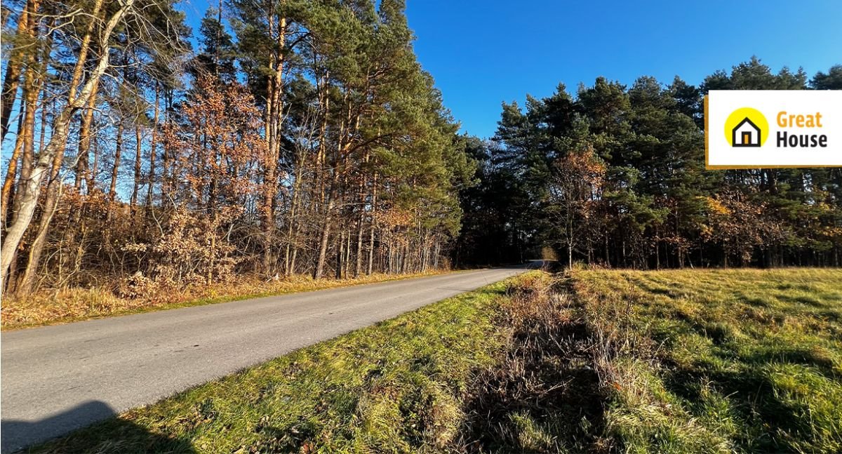 Działka rolna na sprzedaż Borzykowa  85 100m2 Foto 3