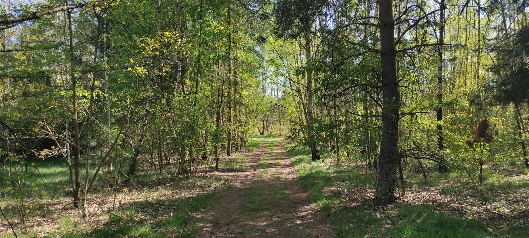 Działka budowlana na sprzedaż Łomianki, al. Miła  1 000m2 Foto 2