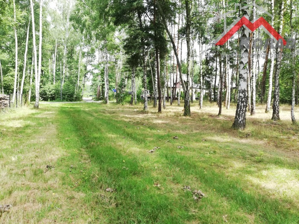 Polecam działkę 15 600 m² pod inwestycję lub rezydencję Janinów  15 600m2 Foto 1