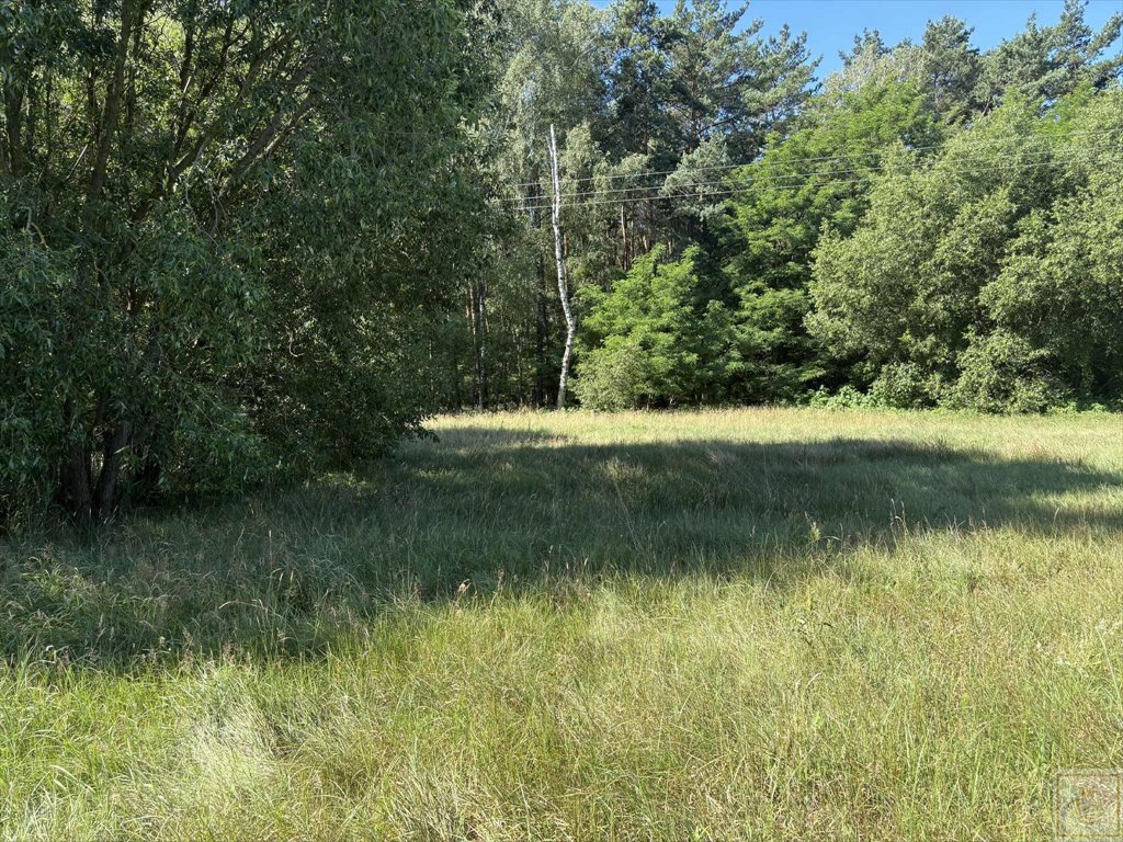 Przestrzeń 7 ha z własnym lasem i oczkiem wodnym Osowo Stare  70 000m2 Foto 1