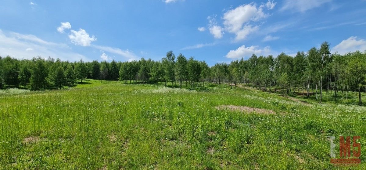 Działka budowlana na sprzedaż Dąbrówno  3 000m2 Foto 4