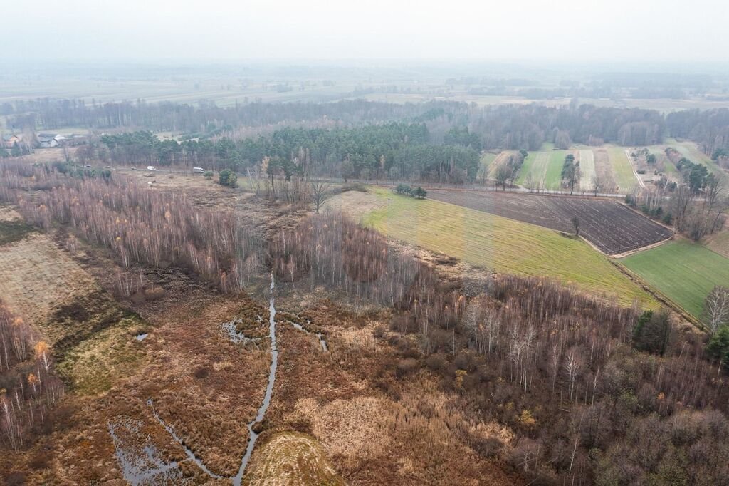 Działka komercyjna na sprzedaż Ręczaje Polskie  23 700m2 Foto 14