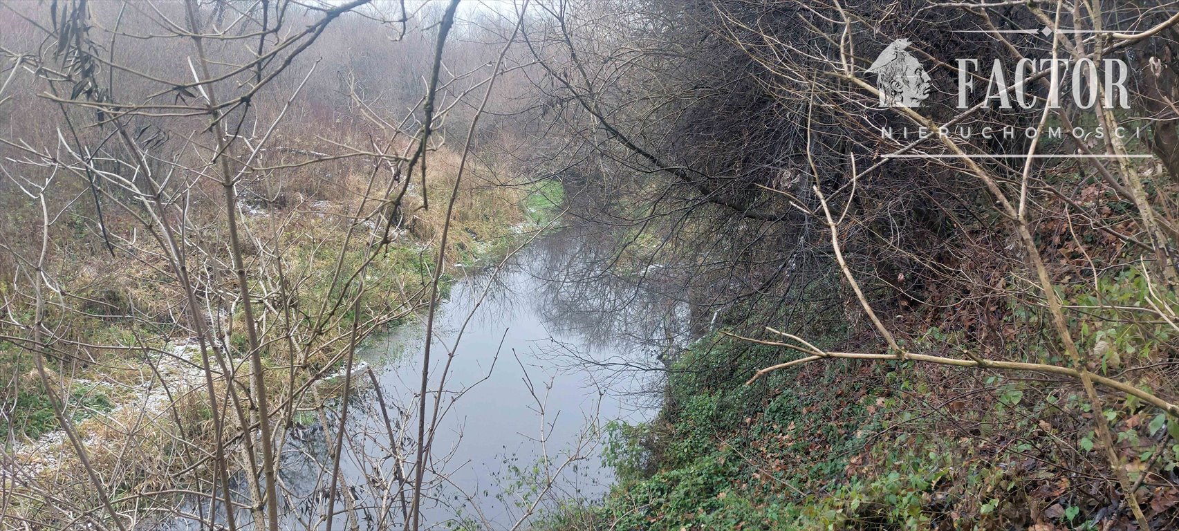 Działka rolna na sprzedaż Lipinki  5 000m2 Foto 2