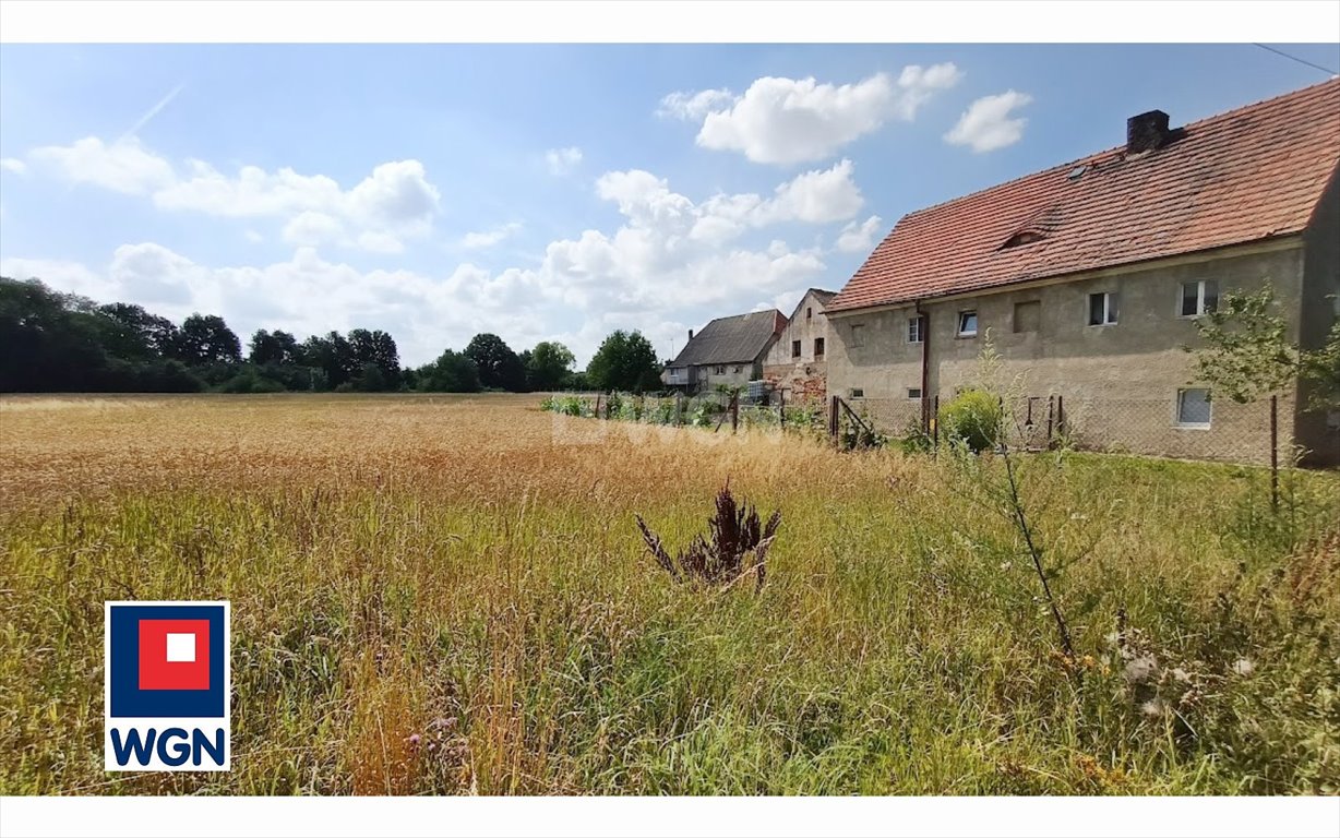 Dom na sprzedaż Nowa Wieś Legnicka, Nowa Wies Legnicka  220m2 Foto 3