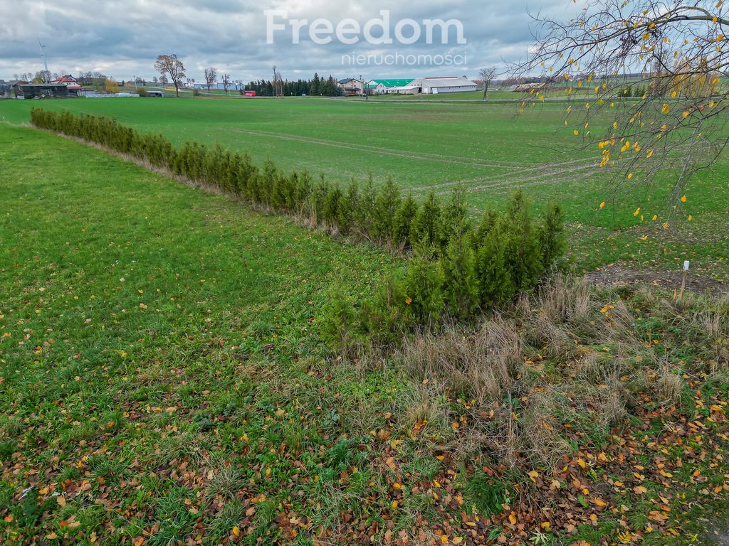 Działka rolna na sprzedaż Laseczno, Laseczno Małe  3 000m2 Foto 8