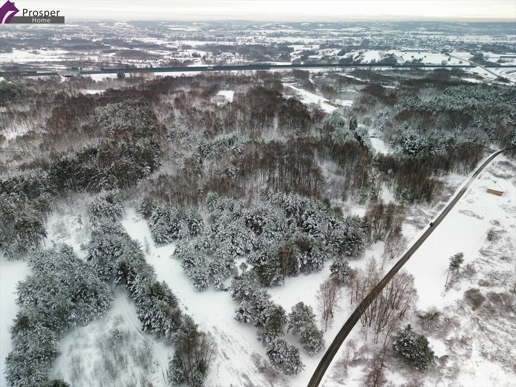 Działka budowlana na sprzedaż Boreczek  4 400m2 Foto 5