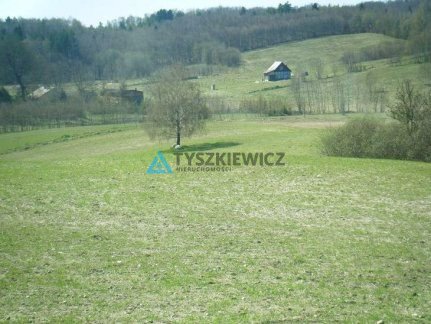 Działka budowlana na sprzedaż Gromadzin  2 907m2 Foto 6