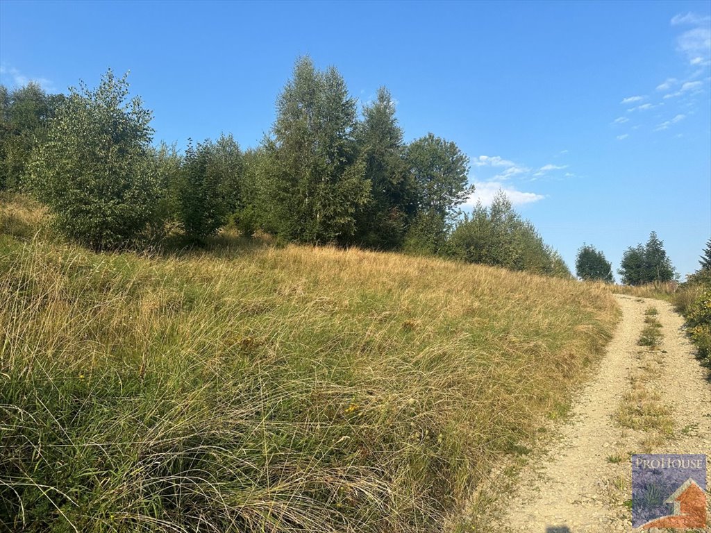 Działka budowlana na sprzedaż Męcina  950m2 Foto 8