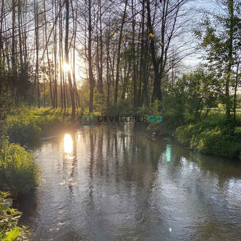 Działka budowlana na sprzedaż Mareczki  19 410m2 Foto 3