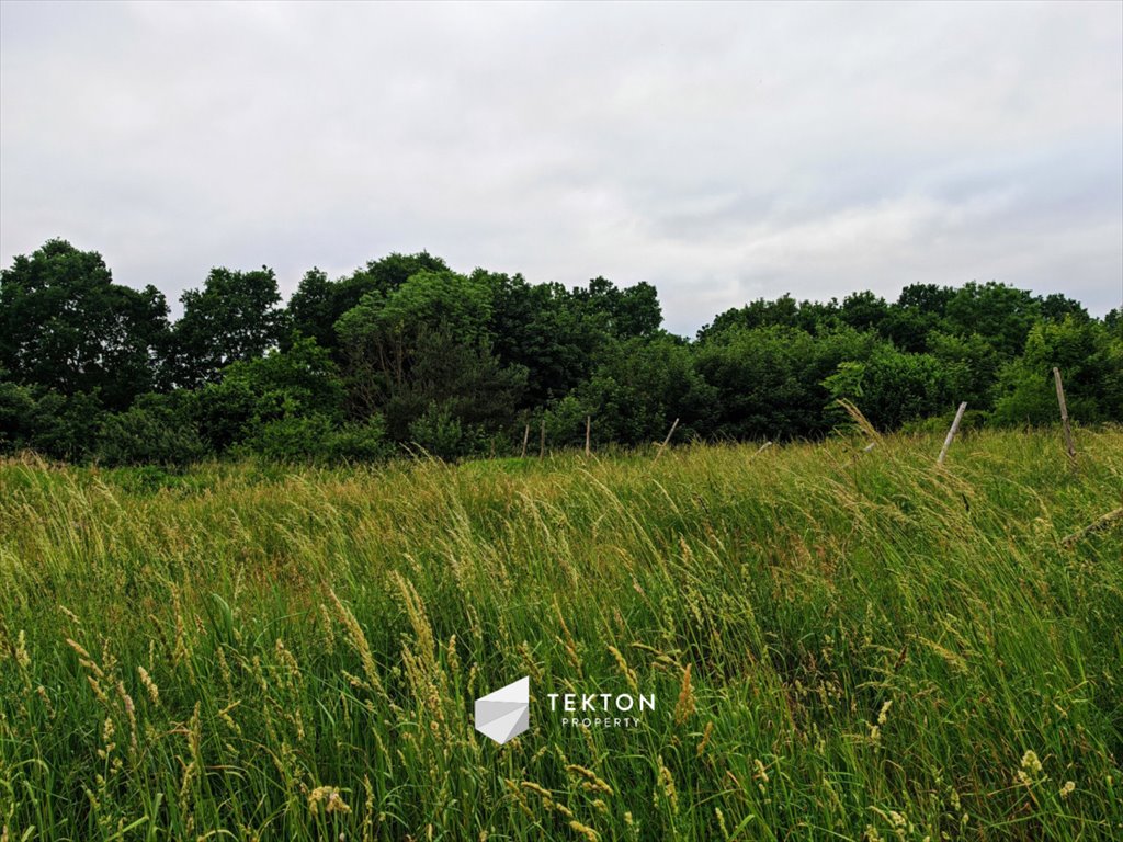 Działka budowlana na sprzedaż Straszyn, Daglezjowa  1 309m2 Foto 5