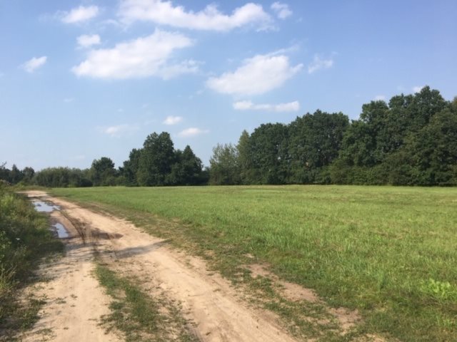 Działka budowlana na sprzedaż Kanie, Polna 1 500m2 Foto 1 Działka budowlana na sprzedaż Kanie, Polna 1 500m2 Foto 1