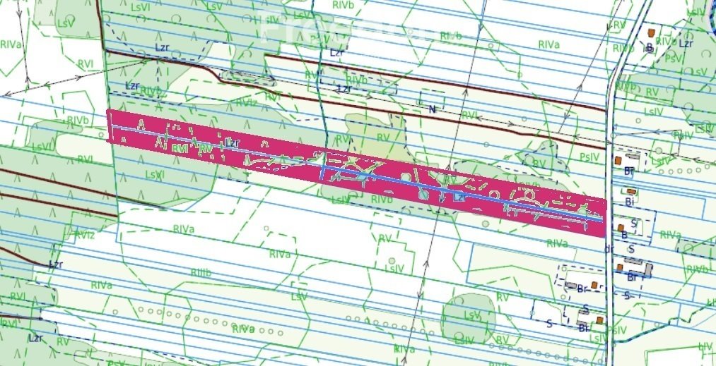 Działka leśna z prawem budowy na sprzedaż Strzebula  36 600m2 Foto 4