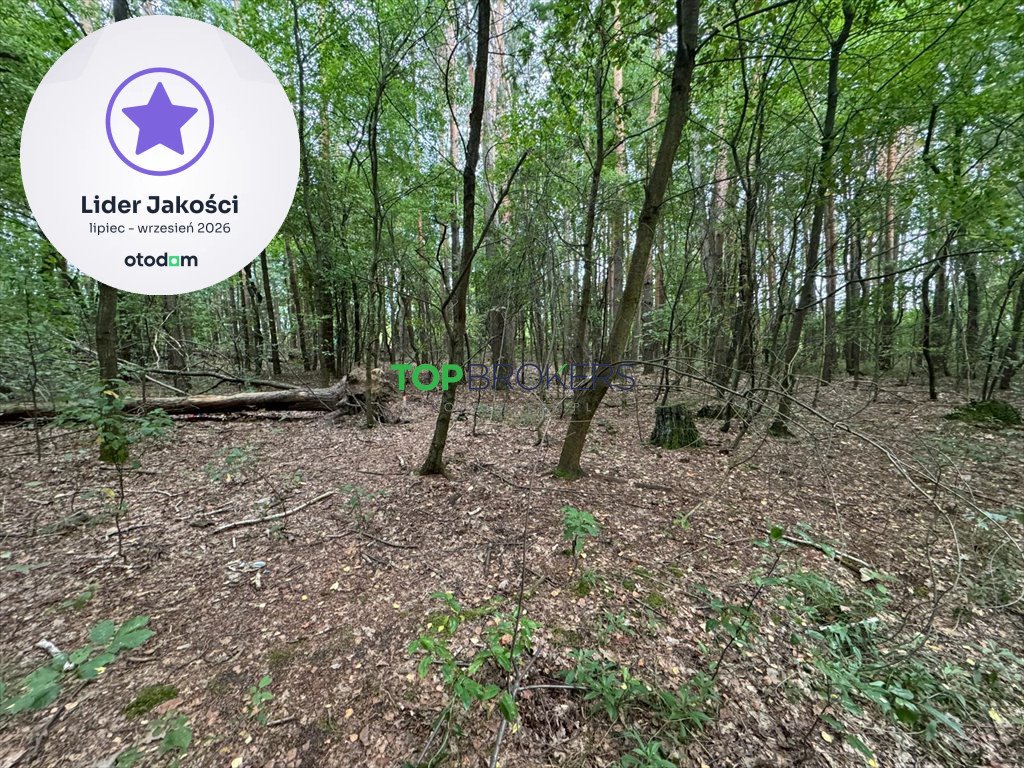 Na sprzedaż działka 1200 m² w Nadarzynie z mediami Nadarzyn  1 200m2 Foto 1
