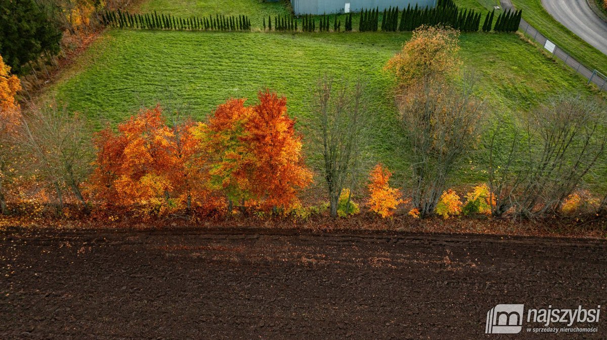 Działka budowlana na sprzedaż Stojkowo, Wieś  3 344m2 Foto 6