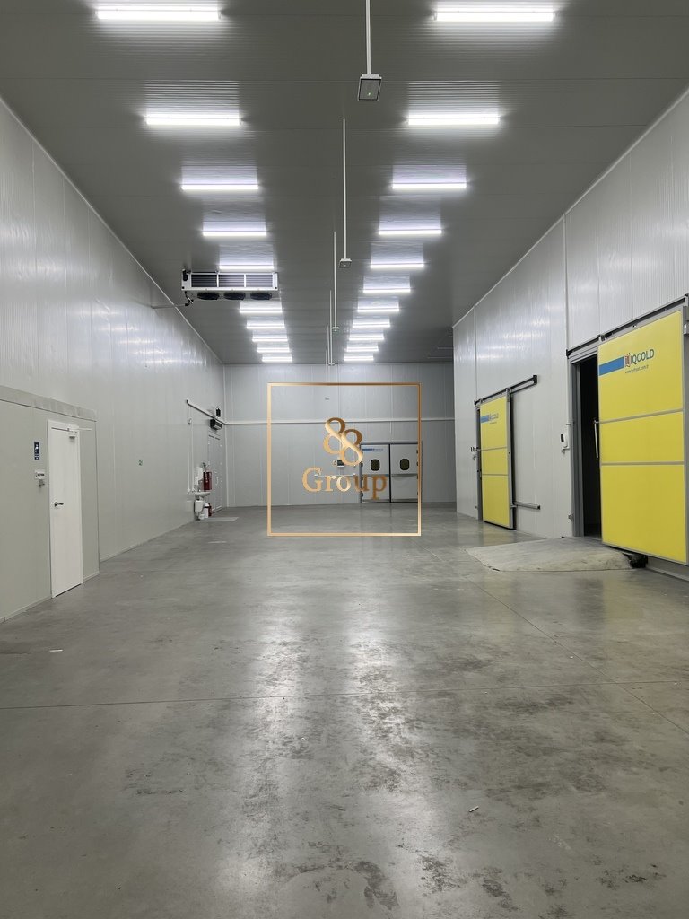 Wynajmę magazyn chłodniczy 1600 m² z biurami i rampami Radziejowice  700m2 Foto 1