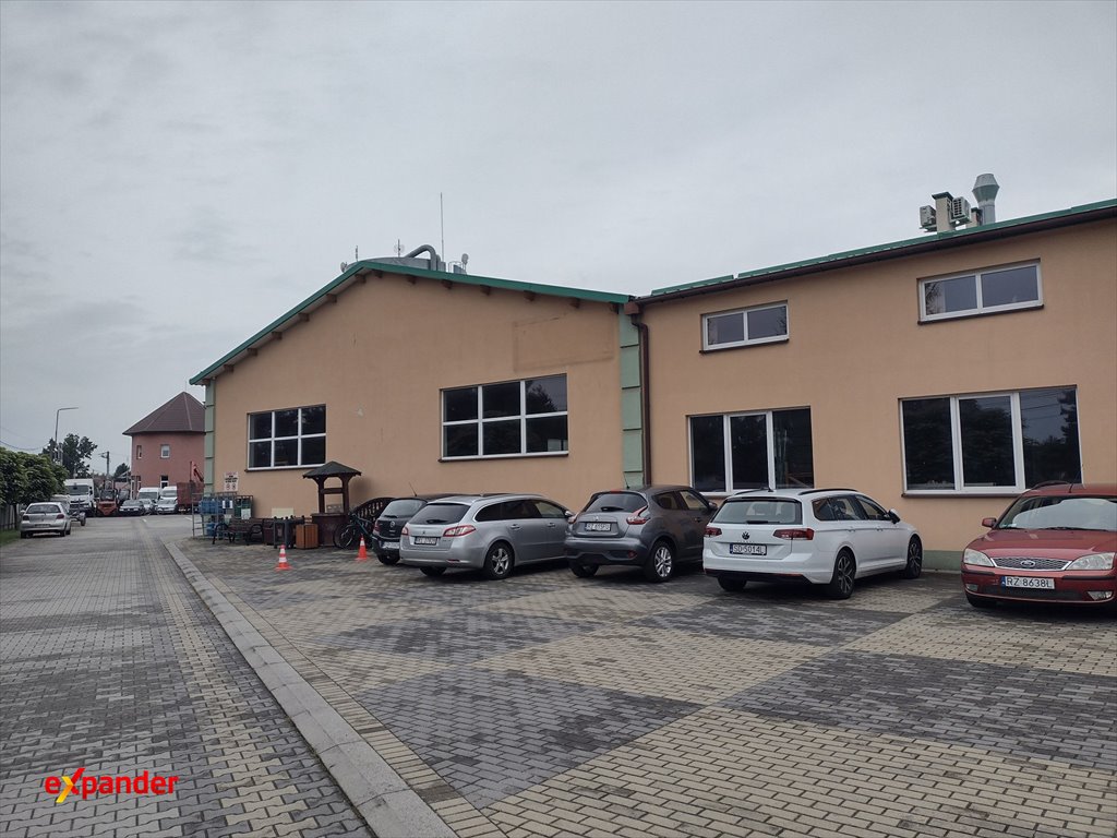 Zdjęcie 5