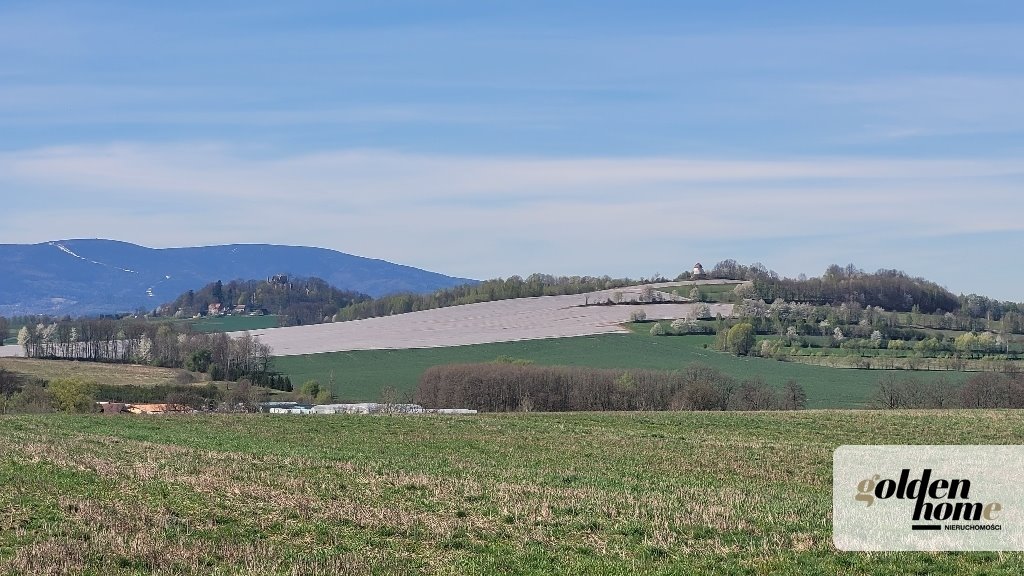 Działka z widokiem na góry, warunki zabudowy, media Gryfów Śląski, Krzewie Wielkie  1 603m2 Foto 1