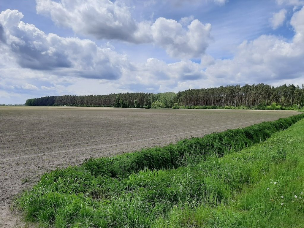 Działka przemysłowo-handlowa na sprzedaż Zduny, Jutrosińska  13 370m2 Foto 2