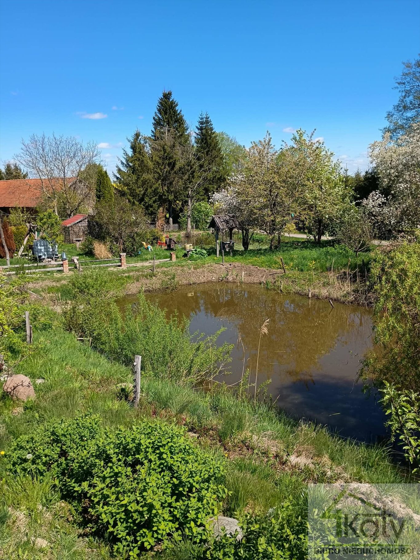 Na sprzedaż działka 9 200 m² z siedliskiem i stawami Borki  9 200m2 Foto 1