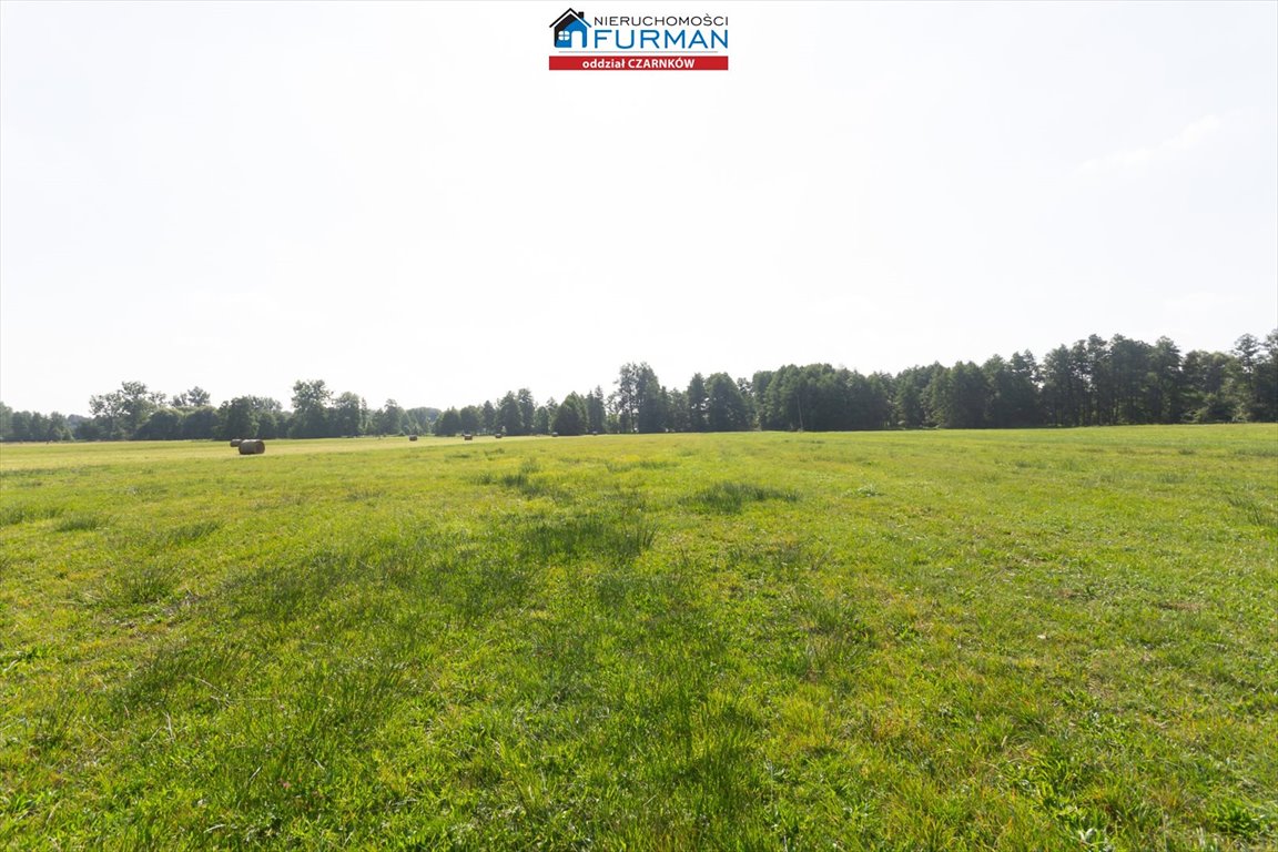 Działka inwestycyjna na sprzedaż Rosko  19 200m2 Foto 16