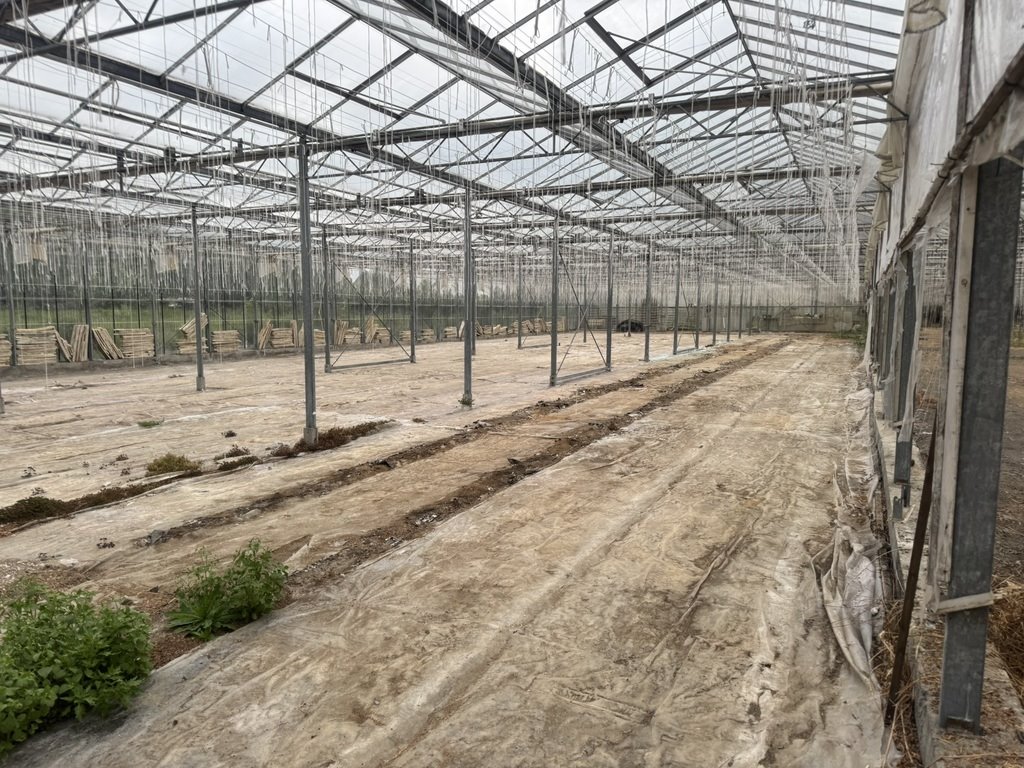 Magazyn 3500 m² w Łodzi – nowoczesna stalowa konstrukcja Łódź  3 500m2 Foto 1