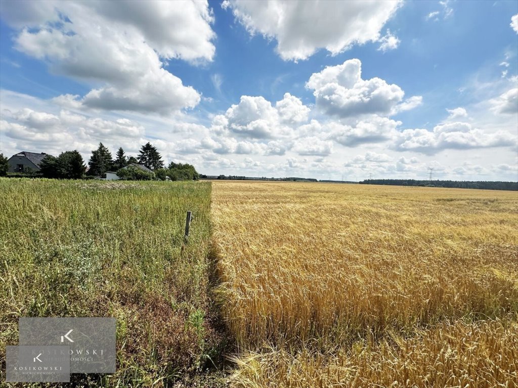 Działka inna na sprzedaż Namysłów, Smarchowice Wielkie-Apostoły  878m2 Foto 4