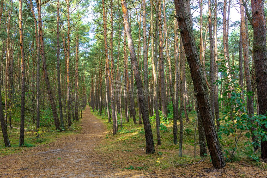 Mieszkanie dwupokojowe na sprzedaż Gdańsk, Sobieszewo, Kempingowa  36m2 Foto 16