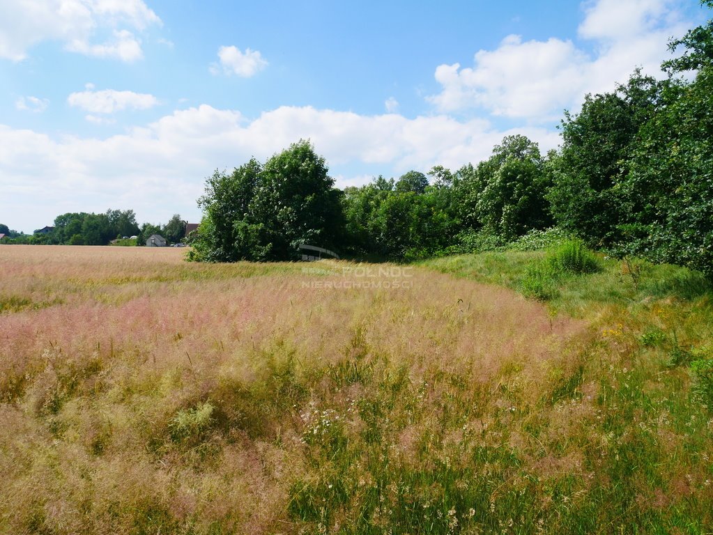 Działka rolna na sprzedaż Zebrzydowa  6 900m2 Foto 9