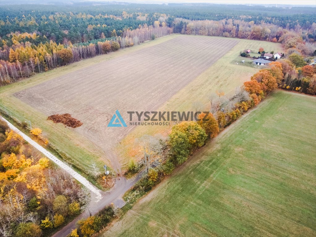 Działka siedliskowa na sprzedaż Szczenurze  3 238m2 Foto 5