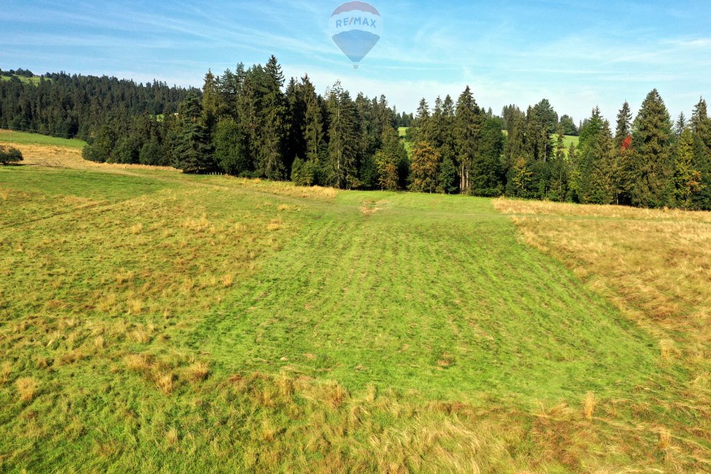 Działka rolna na sprzedaż Białka Tatrzańska  4 151m2 Foto 9